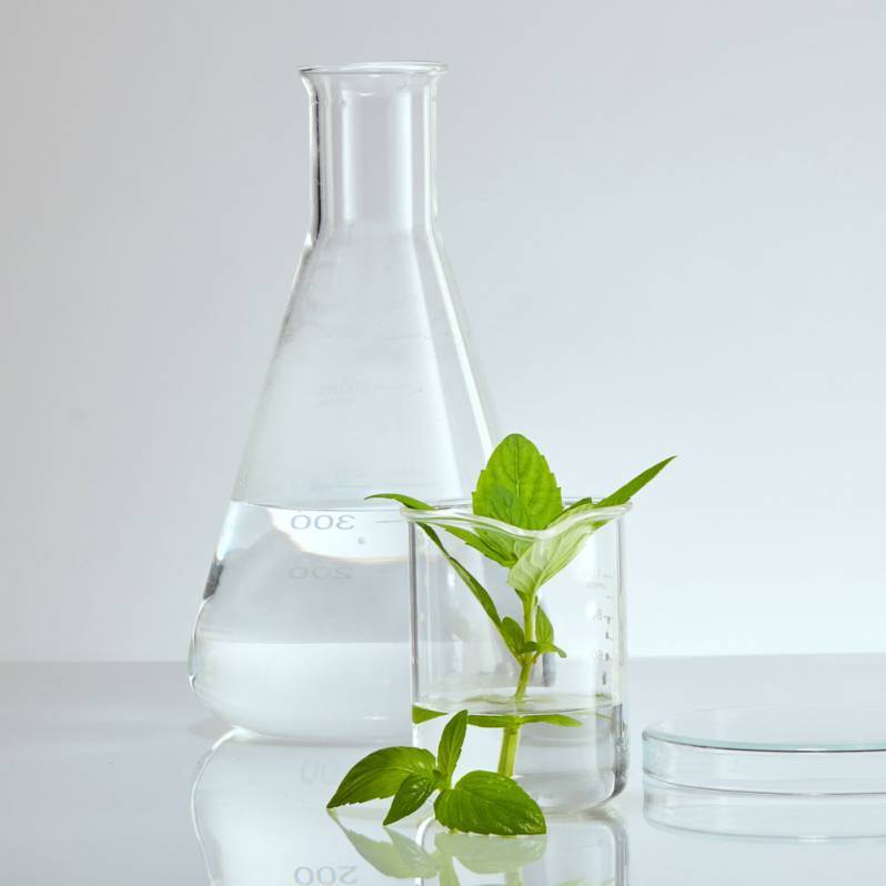 Natural Reed Diffuser & Room Spray Base