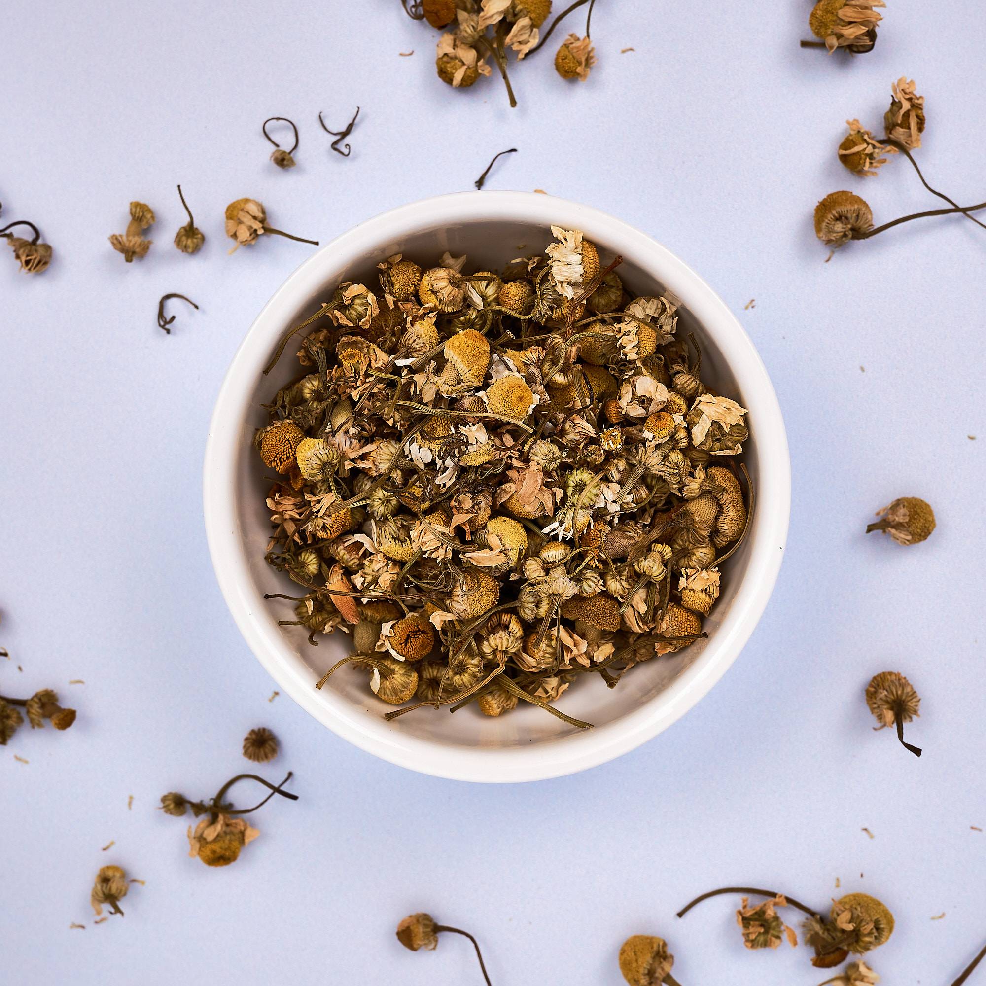 9547 Chamomile Flowers