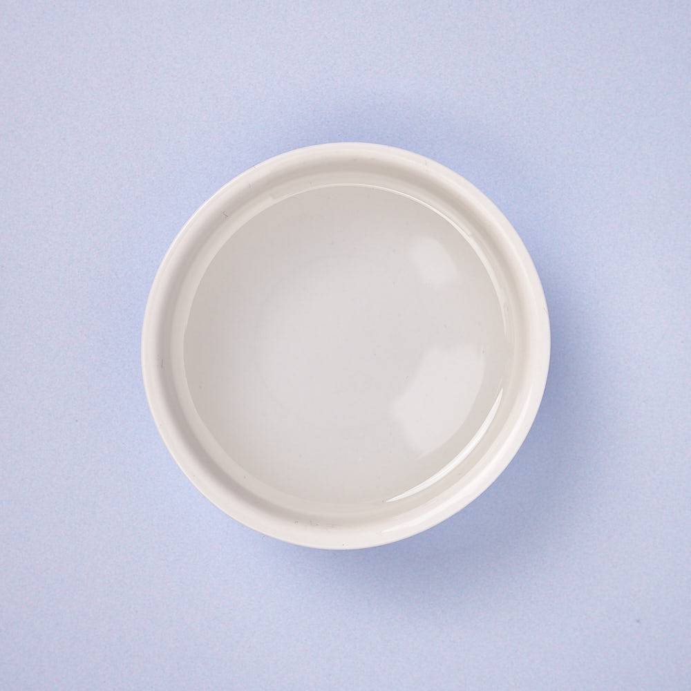 Acetic Acid (Concentrated)